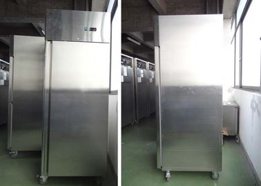 Floor Standing Commercial Refrigeration Equipment , Commercial Upright Fridge / Freezer R290 Available